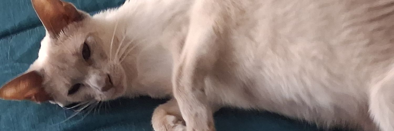 rona_grieve's profile banner image