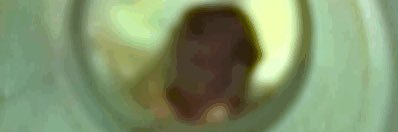 Dan McCloskey banner