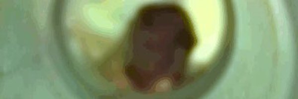 neurolab Profile Banner