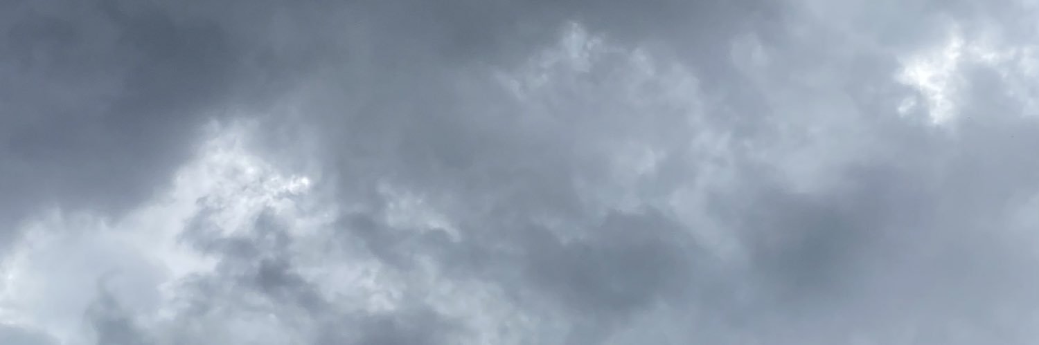 Michal banner
