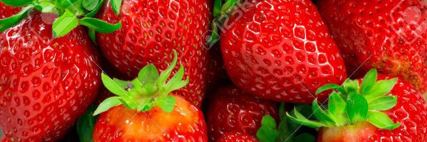 おﾁｪﾖﾝ banner