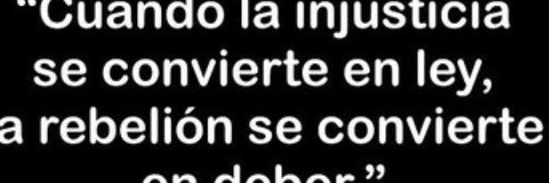 Carls Sillejo banner