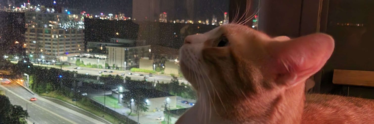 Jayxphen0m's profile banner image