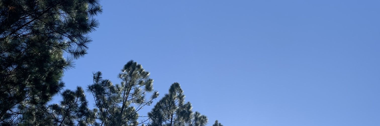 christzaJC's profile banner image