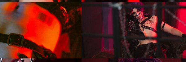 Shakercosplay Profile Banner