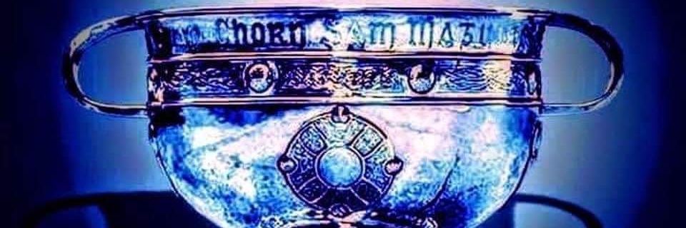 Dublin Born and Proud banner