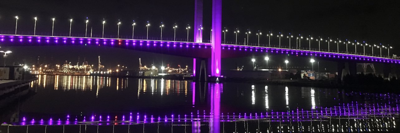 Steph Anderson banner