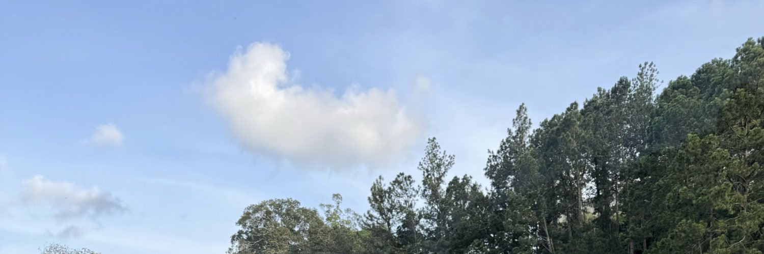 adrianaleong's profile banner image