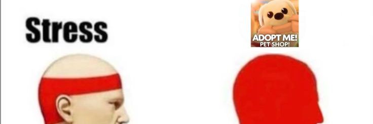 ShotaShinsuke's profile banner image