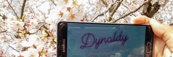 Dynaldy22's profile banner image
