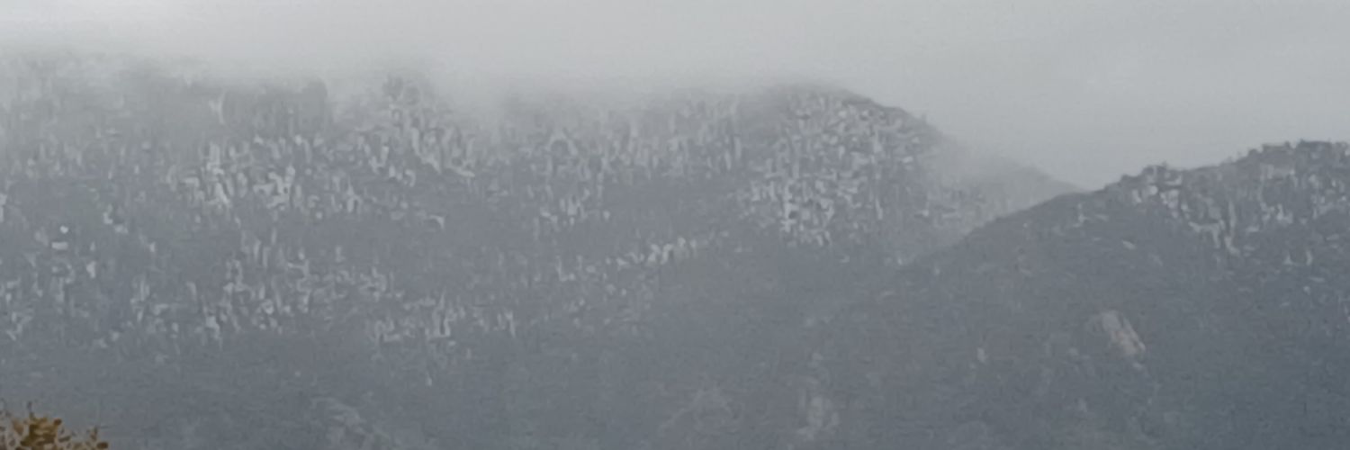 1SsilentGhost's profile banner image
