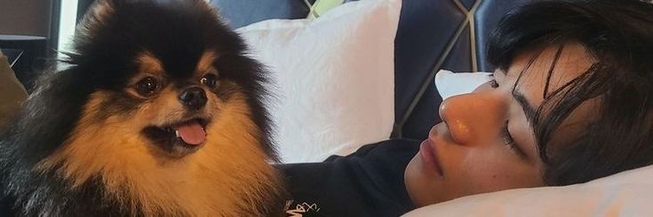 𝑽𝒊𝒏𝒏𝒊𝒆⁷ banner