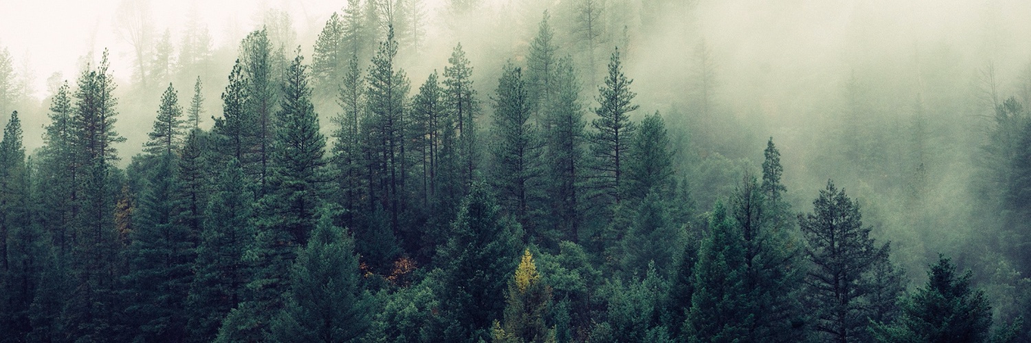 🚀 Luis Puerto banner