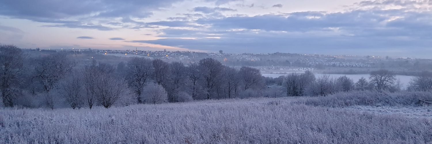 Fiona Menzies banner