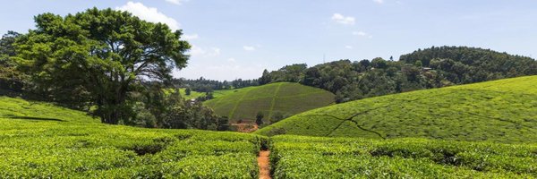 tk_Traktor Profile Banner