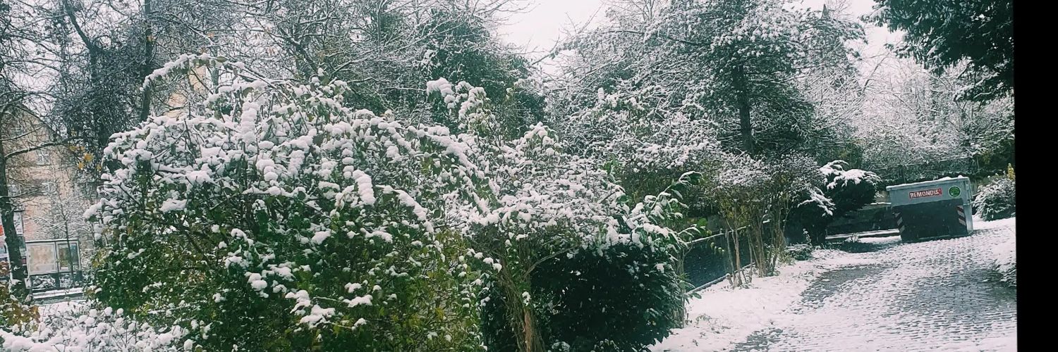 Somi👩‍❤️‍💋‍👨Hassan banner