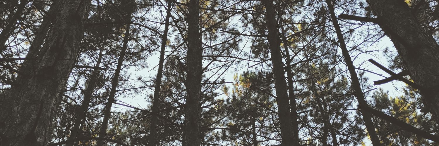 tekinnsenaa's profile banner image