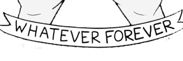 SaraOtto's profile banner image