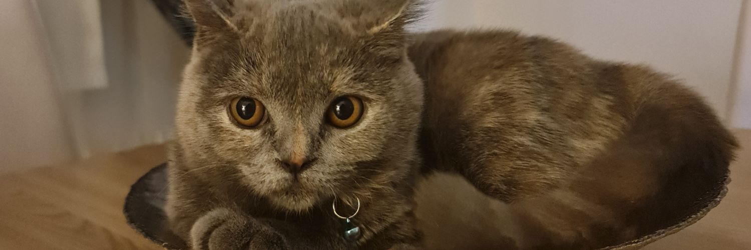 Habip785's profile banner image