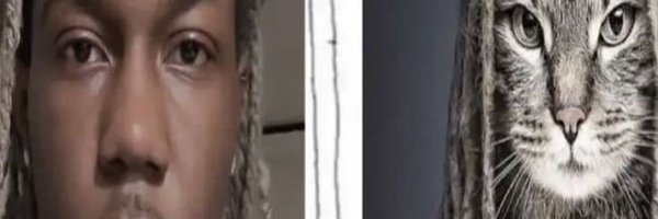 7luckylunch Profile Banner