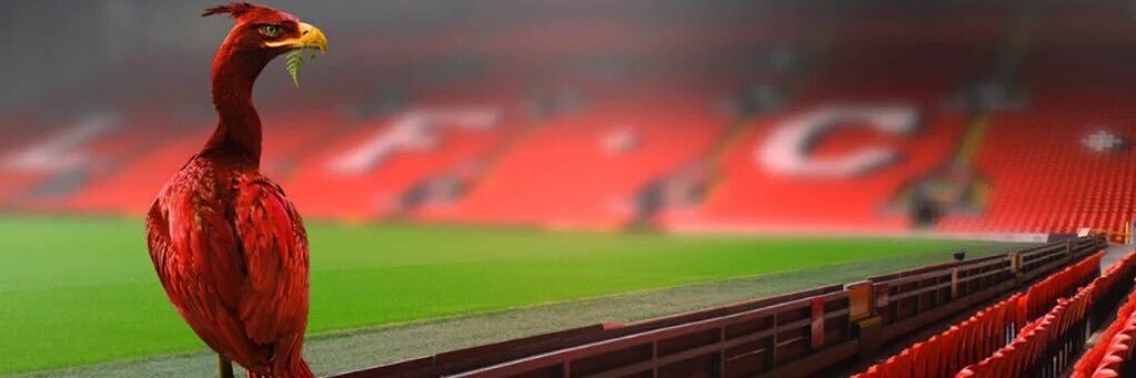 Anthony Marson banner