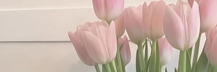 luvs155's profile banner image