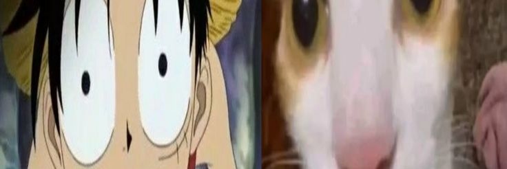 Hazel Red Hawk da Silva banner