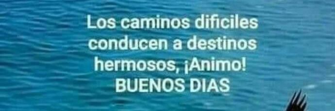 mujer patriota 5.11 banner