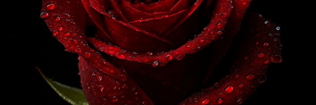 Robdellys Aguilera banner