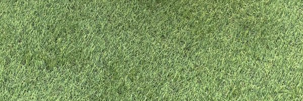 inkipm Profile Banner