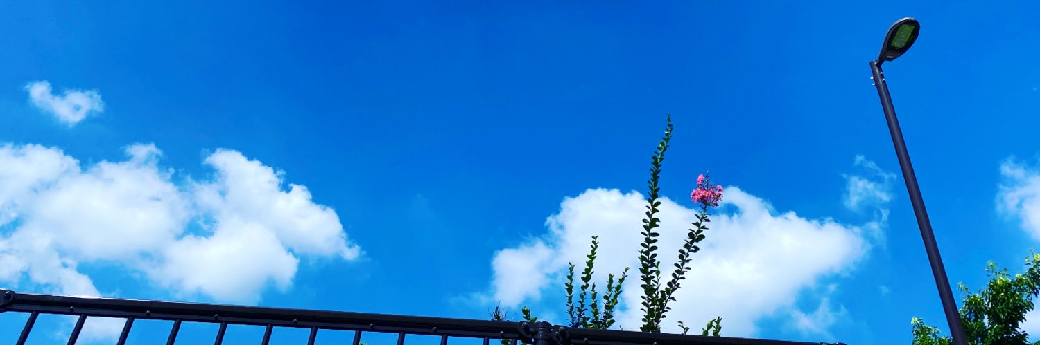 あべさとえ banner