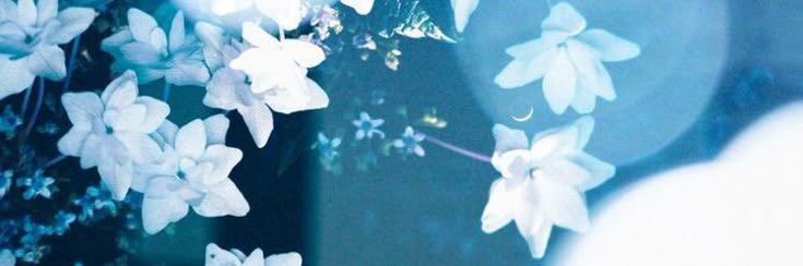 Sephra_Midnight's profile banner image