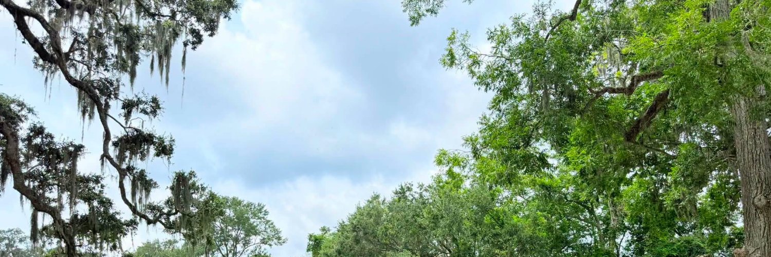 Thomassorx's profile banner image