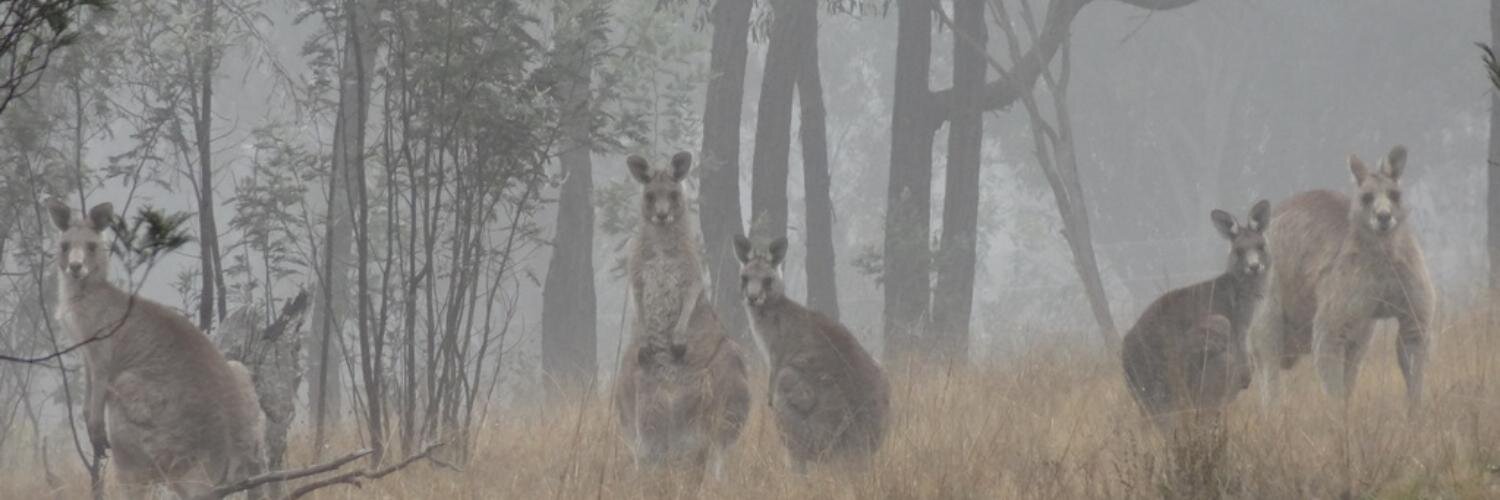 kangarevolution's profile banner image