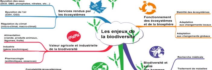 Pierreaud's profile banner image
