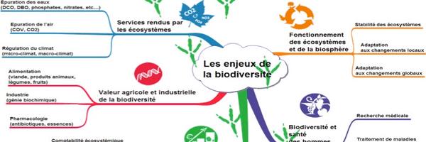 Pierreaud Profile Banner