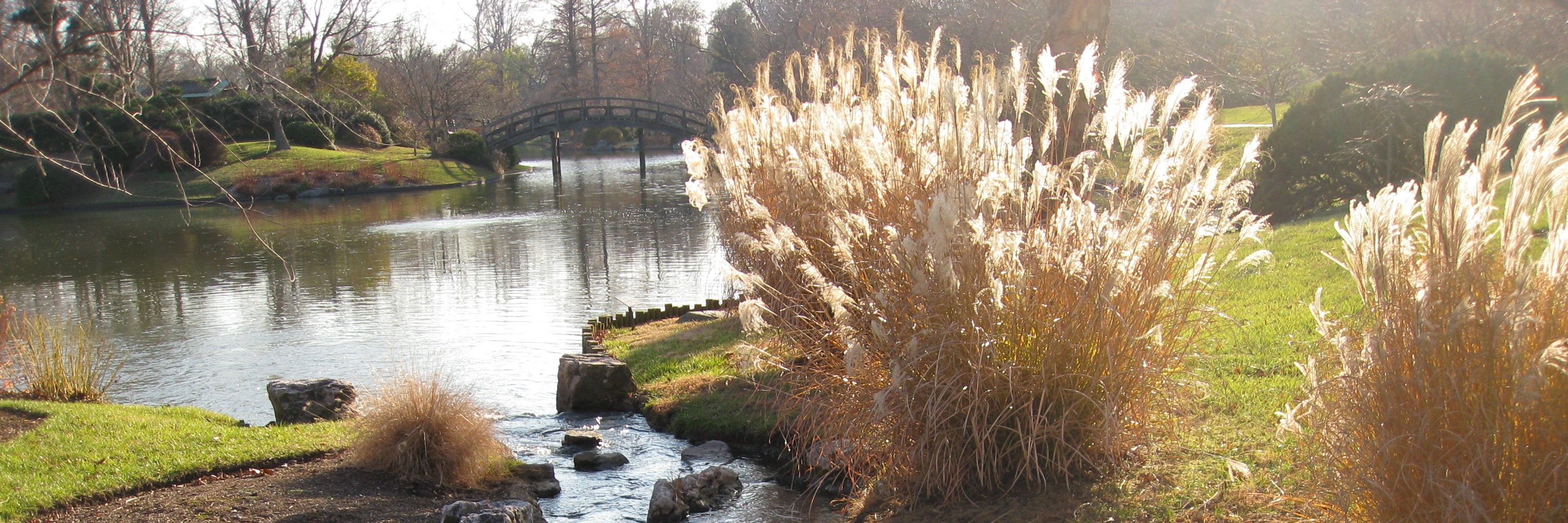 jbaum's profile banner image