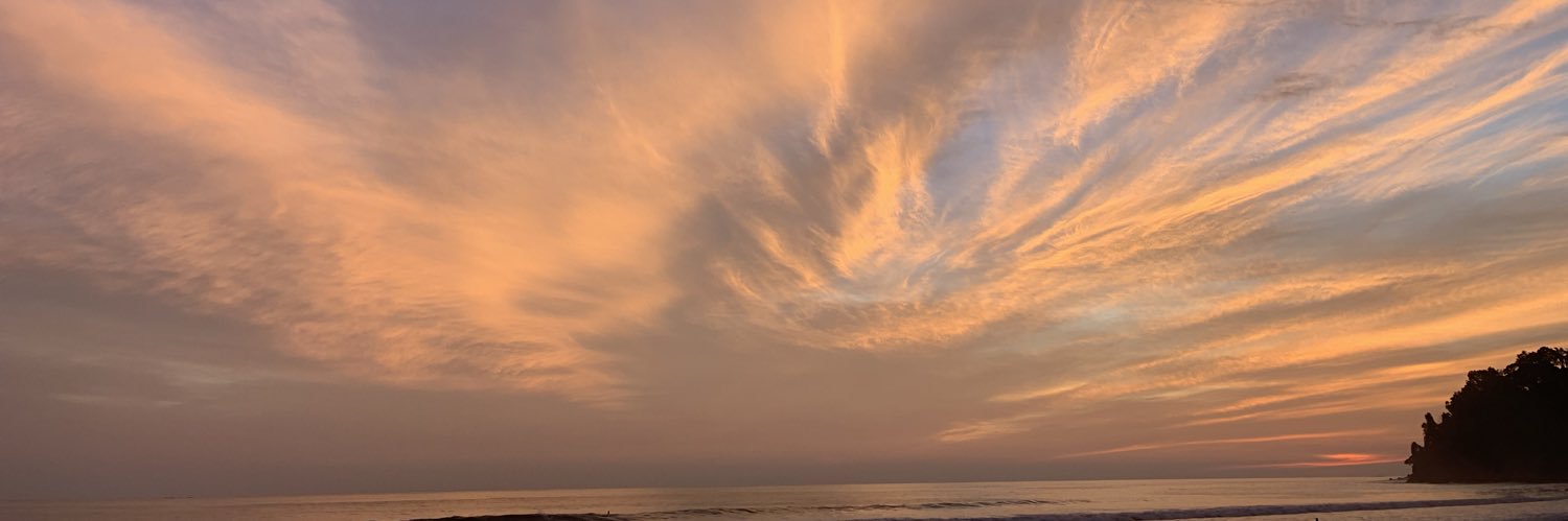 Ƹ`◠ᴥ◠⸂Ʒ banner