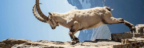 Dreadywoo Profile Banner