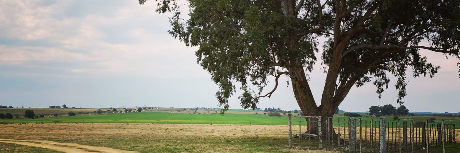 Ursula Bartram banner