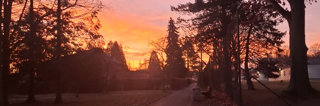 коля / seeing gorillaz!! banner