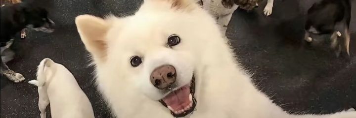 sanwan88's profile banner image