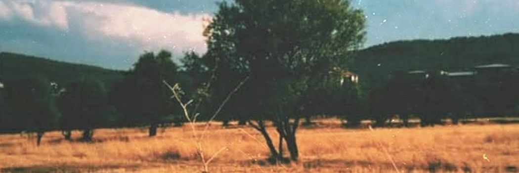 B. Ergin Borobey banner