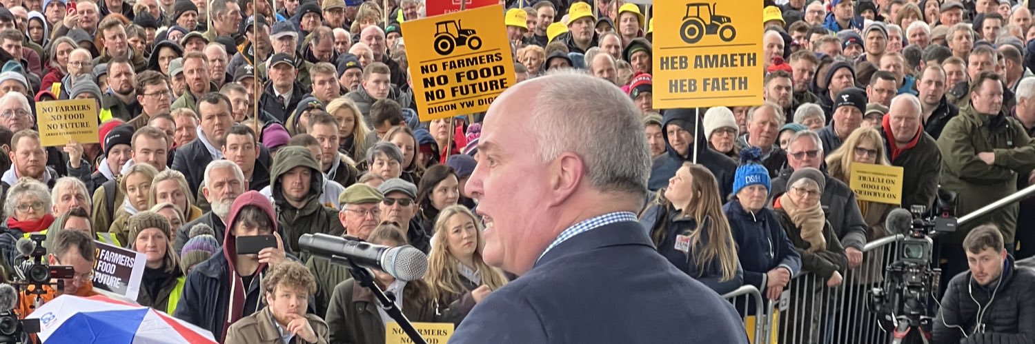 Andrew RT Davies's banner