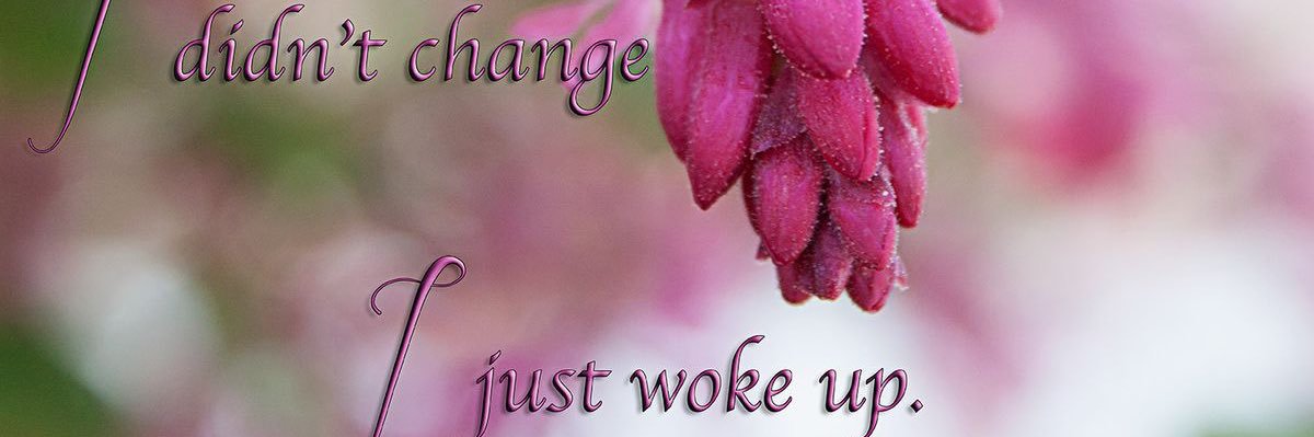 Debs view point banner