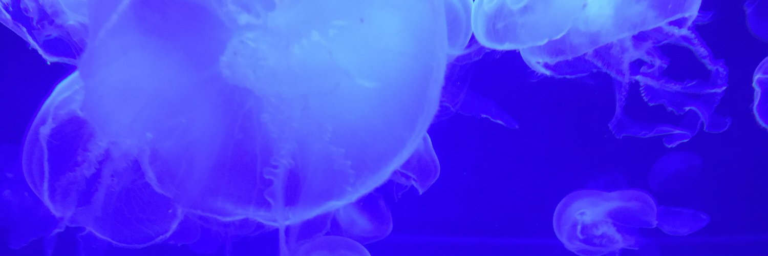 Jessica Sams banner