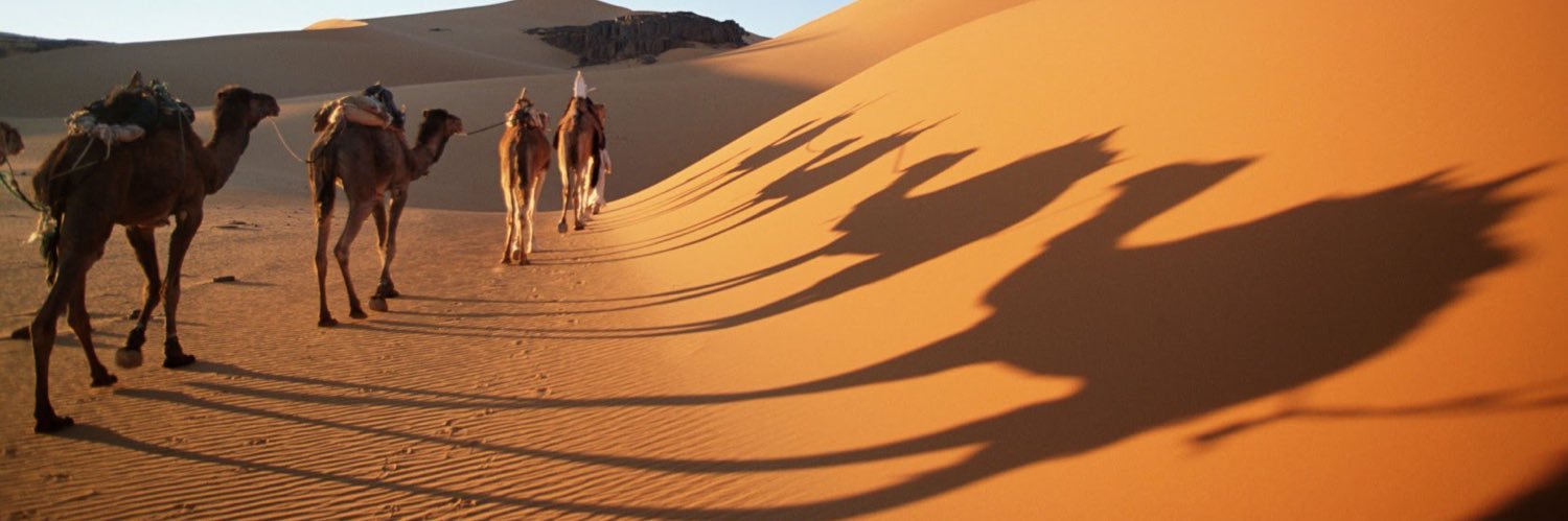 Nasser Al Shaikh ناصر الشيخ banner