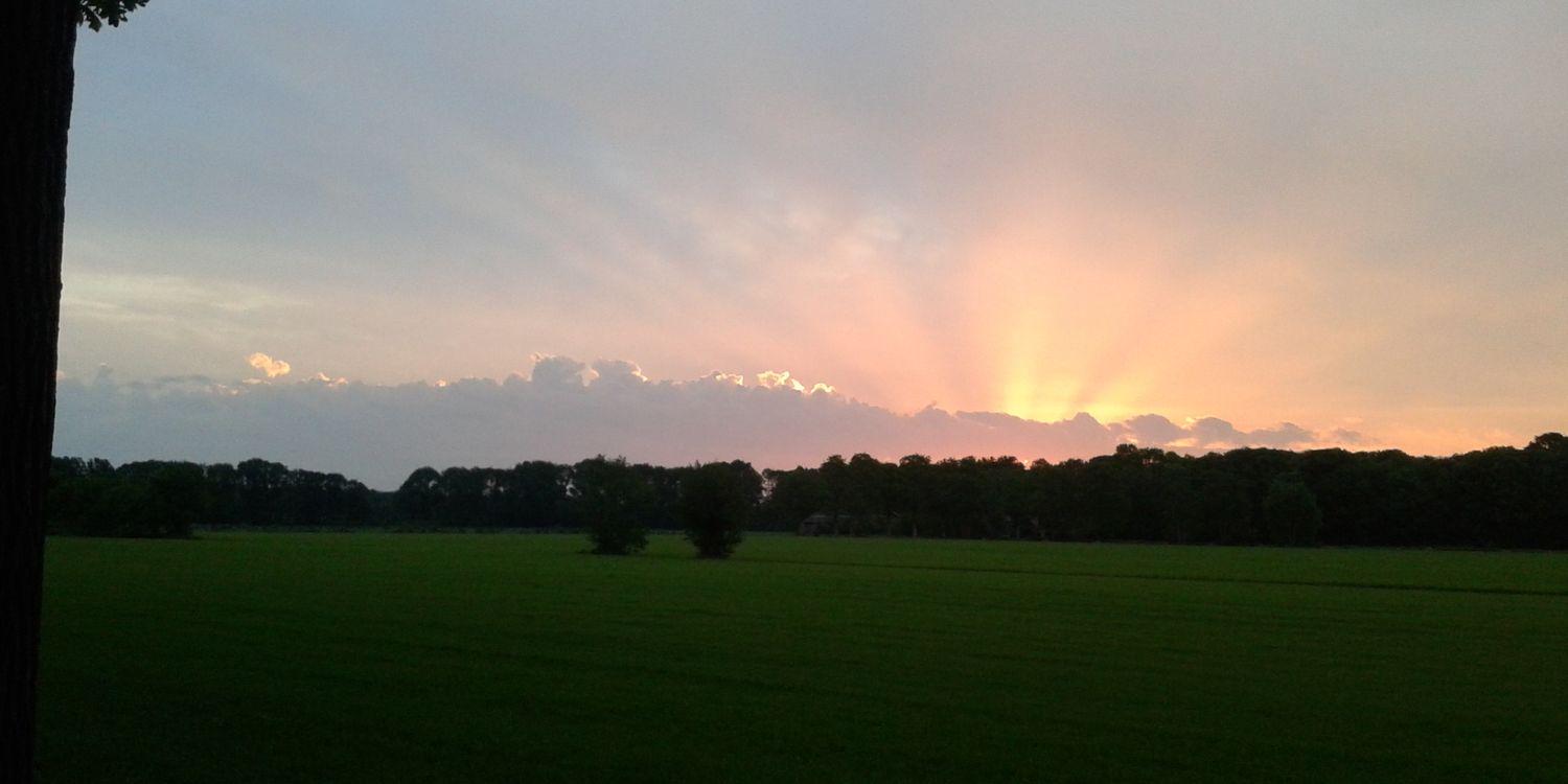 Maarten Jonges banner