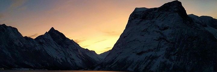 sesilie's profile banner image