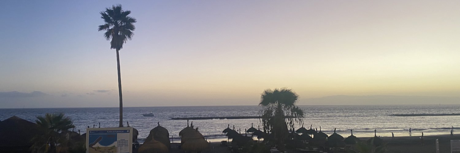 literallymara's profile banner image